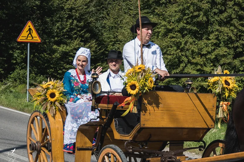 Para w strojach ludowych w odświętnej bryczce