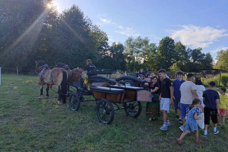 Bryczka i publiczność na terenie dożynkowym