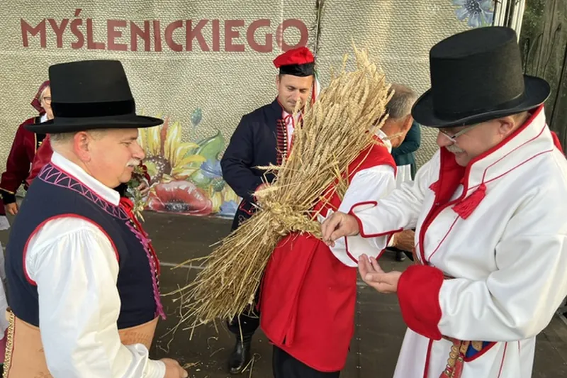 Powrósło ze zboża w obrzędzie dożynkowym